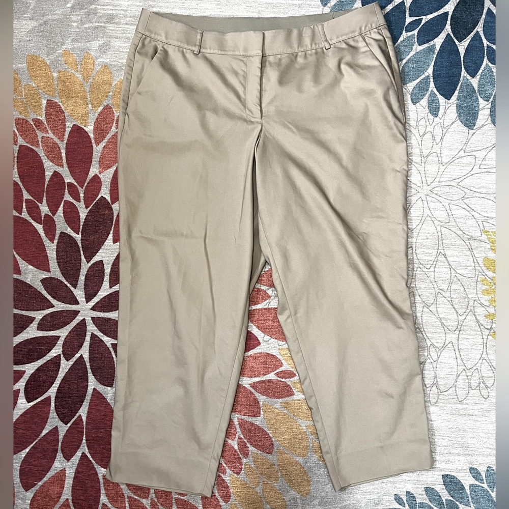 The Modernist Collection Tan dress pants